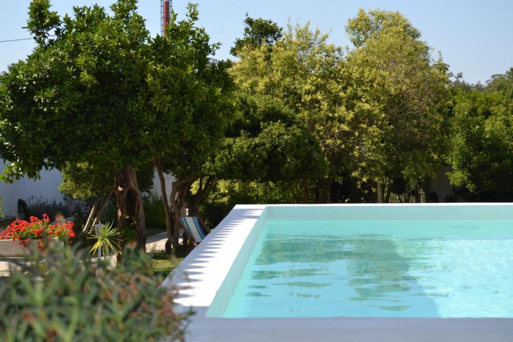 A piscina exterior entre árvores altas e gerânios, ao fim da tarde