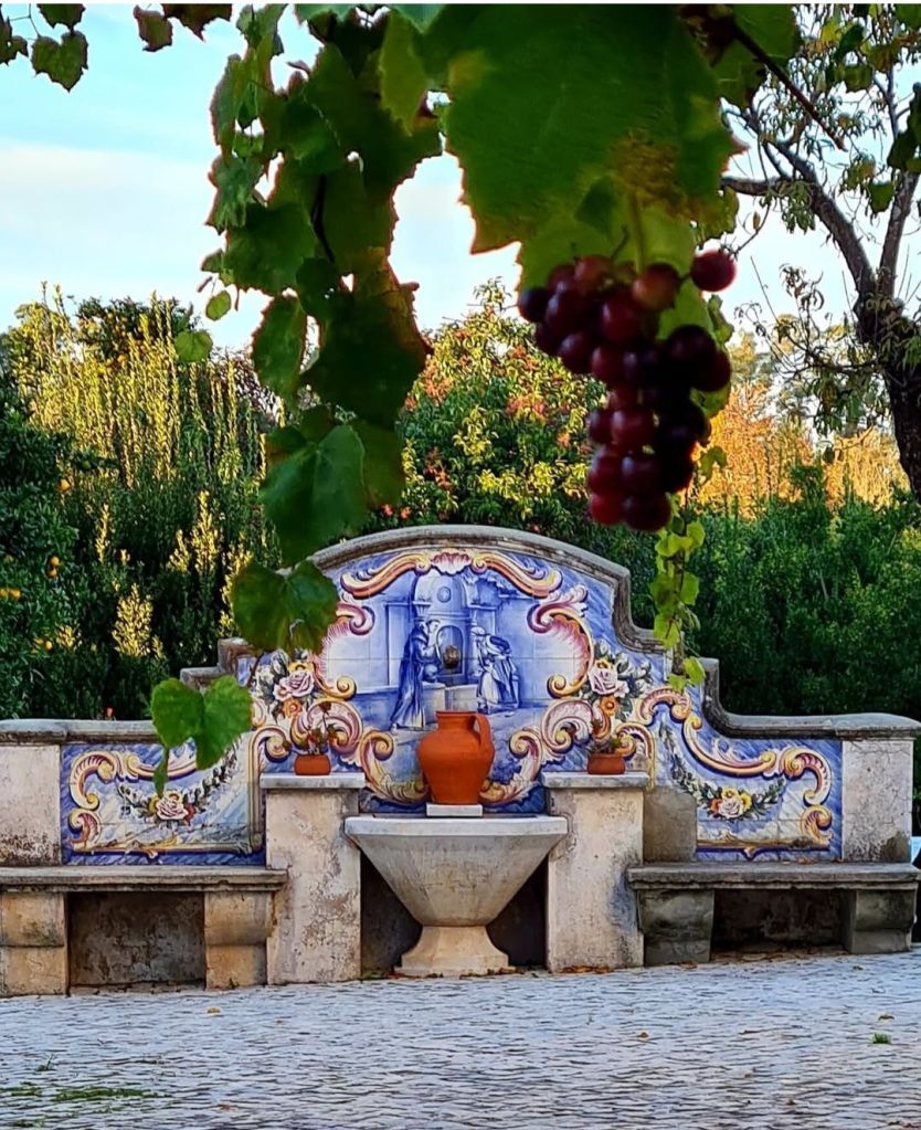 screenshot_20260310_185334_instagram1534900617340021905